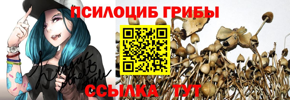 Галлюциногенные грибы Psilocybine cubensis  хочу   Вход с VPN  Каменка  Галлюциногенные грибы Magic Shrooms 