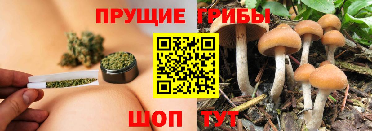 МЕФ кристаллы  Бошки Шишки  Вход с VPN  Каменка  ГАШИШ  COCAIN 